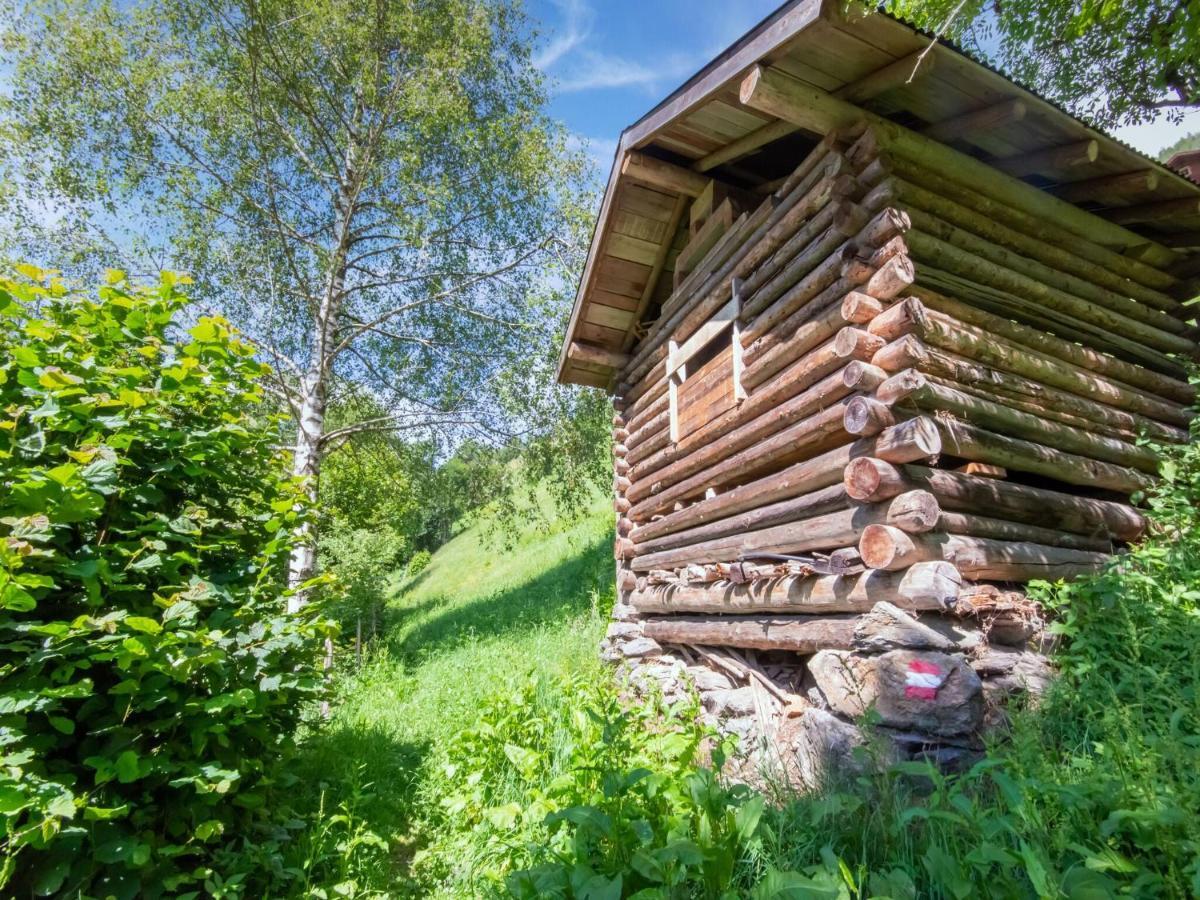 Cosy At The Wildkogel *